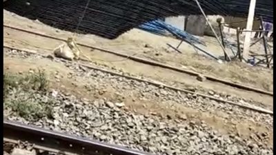 إصابة 3 عمال في انهيار أحد الأعمدة بكوبري تحت الإنشاء بالدقهلية │ صور