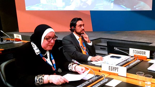  نيفين جامع وزيرة