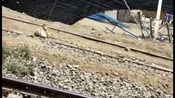 مكان الواقعة 