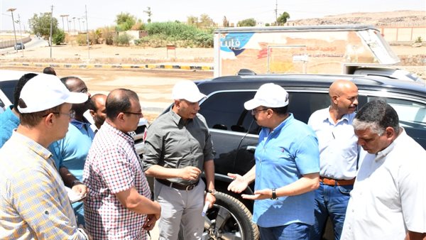 محافظ أسوان