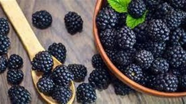 فوائد التوت البري