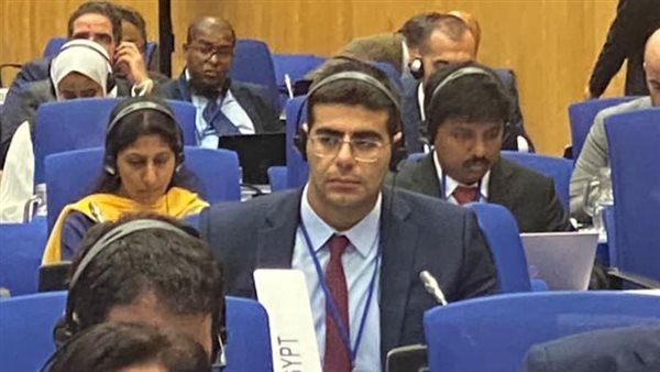  آلية استعراض تنفيذ