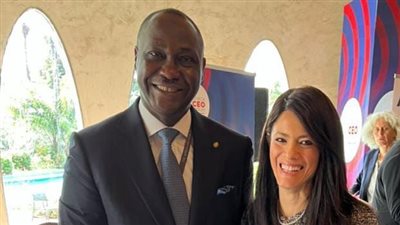 المشاط تبحث سبل تعزيز التعاون المشترك بين الحكومة ومؤسسة التمويل الأفريقي