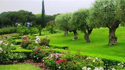 دراسة: الحدائق الخضراء تقلل من الإصابة بالسكتة الدماغية والخرف