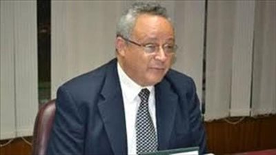 بعد اختياره مديرا لمكتبة الإسكندرية.. تعرف على مؤلفات الدكتور أحمد زايد