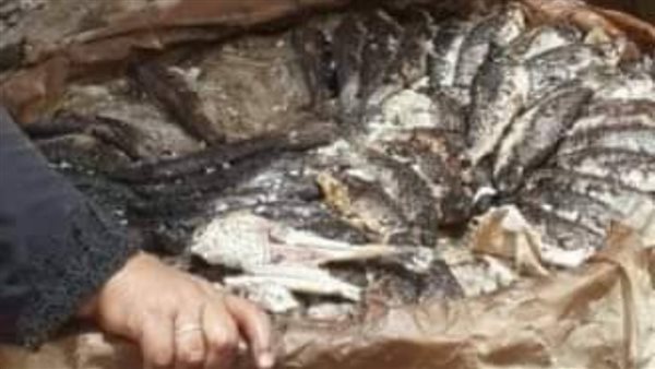 السمك المشوي