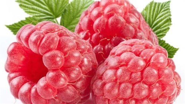 فوائد التوت البري