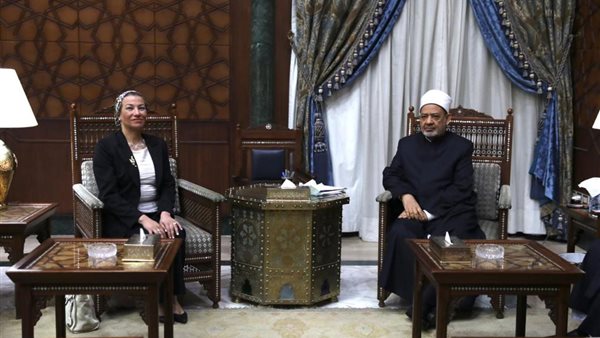 الإمام الأكبر ووزير