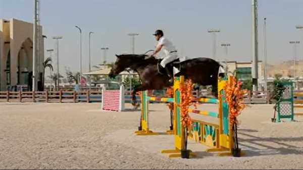 جانب من نهائي بطولة