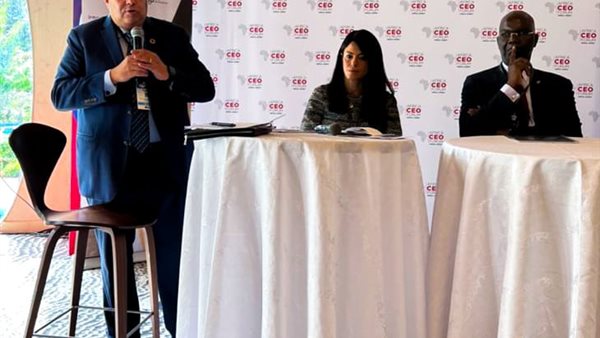 محمود محيي الدين