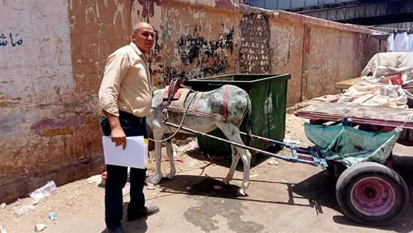 أثناء ضبط عربة الكارو