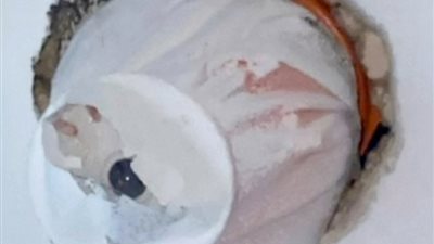 سيدة أمريكية تستأجر منزلا وتكتشف وجود 10 كاميرات مراقبة داخله