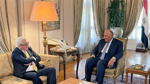 شكري ومبعوث الأمم