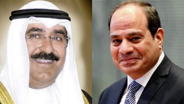 الرئيس السيسي - ولي