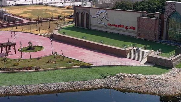  تنظم نهائي بطولة