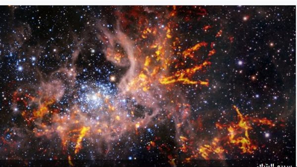 سديم الرتيلاء