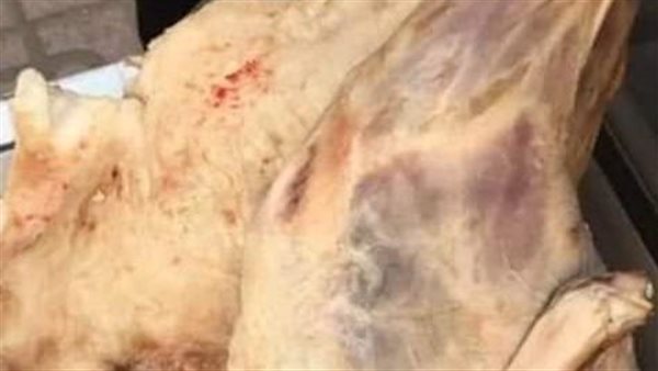 ضبط لحوم غير صالحة