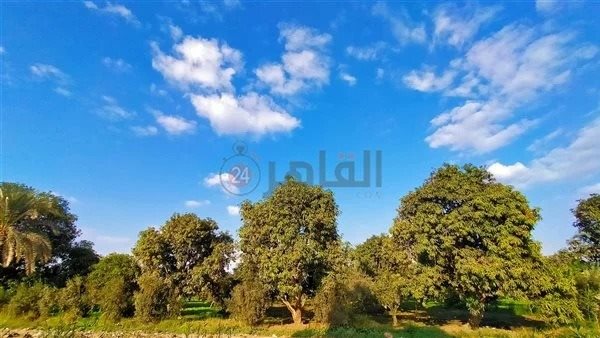 حالة الطقس -ارشيفية