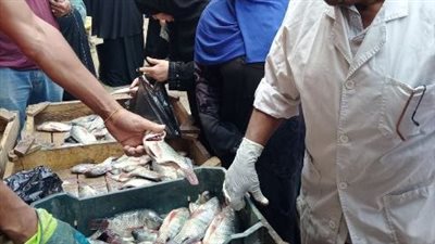 ضبط لحوم وأسماك ودواجن مجهولة المصدر في حملات بيطرية على الأسواق بالشرقية