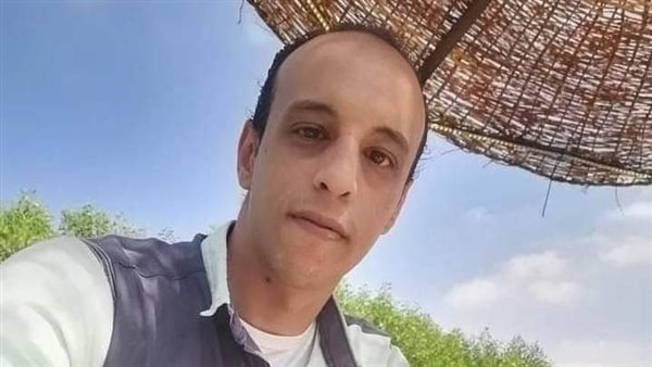 دميان زغلول 