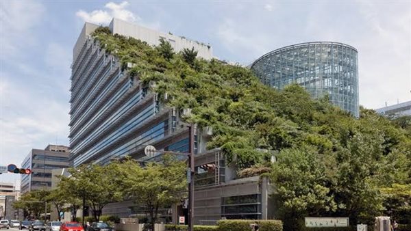 المباني الخضراء -