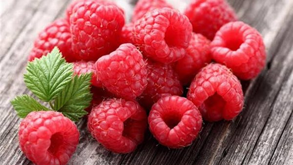 فوائد التوت البري