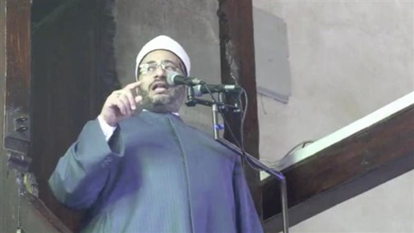 الدكتور محمود الهواري