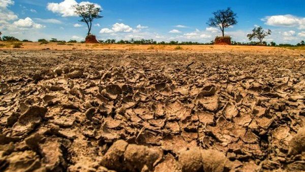 تدهور التربة 