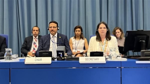 رئيس هيئة الرقابة