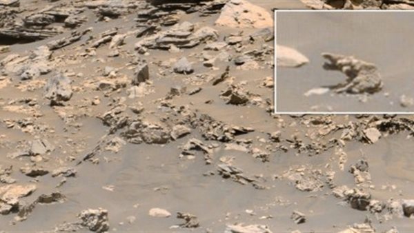 اكتشاف تمثال فيل