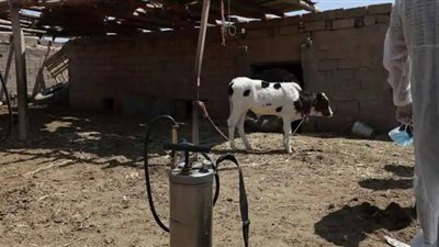 تسبب في إصابة أكثر من 150 شخصا.. مرض الحمى النزفية يضرب العراق