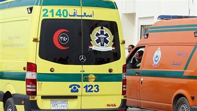 مصرع 3 أشخاص دهستهم تريلا خلال استقلالهم توك توك بالدقهلية