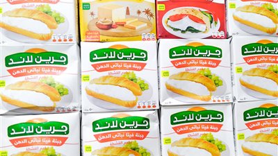 من 2 لـ4 جنيهات.. زيادة في سعر جبن جرين لاند بالأسواق 