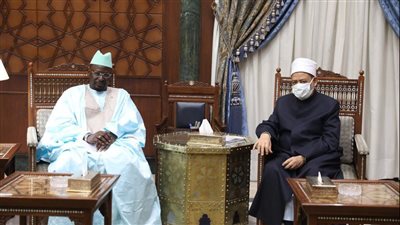 الإمام الأكبر: الأزهر يسعد بتقديم كل أوجه الدعم للشعوب الإفريقية