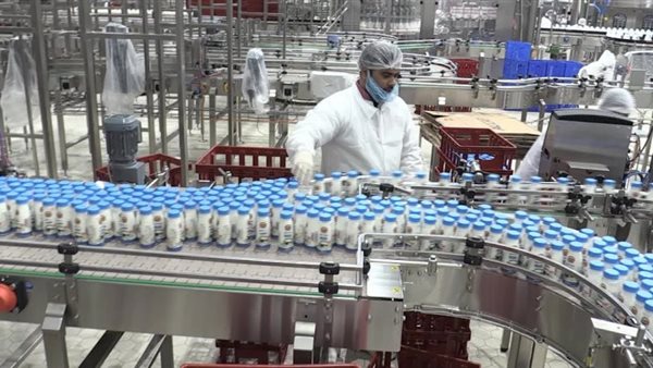 مراكز تجميع الالبان