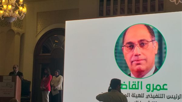 الرئيس التنفيذي للهيئة