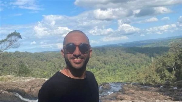 مينا حنين، خبير مصري