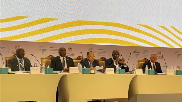 الدكتور محمد معيط