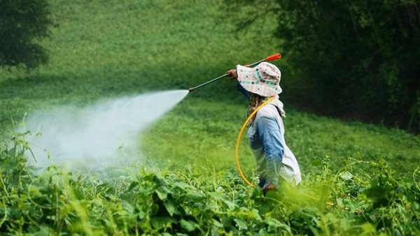 رش الحقل بالمبيدات