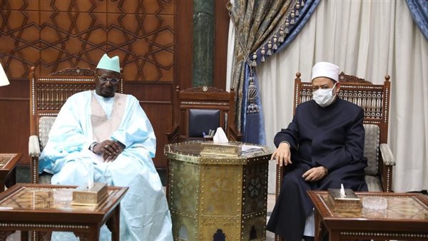 شيخ الأزهر والسفير