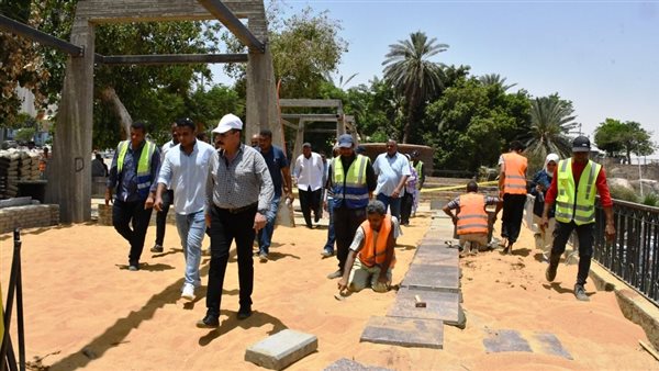 محافظ أسوان