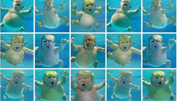 صور التطبيق