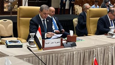 مصر تحصد عضوية اتحاد المجالس الاقتصادية والاجتماعية بالجزائر