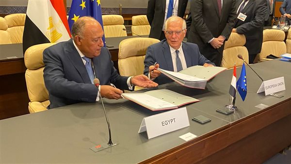 وزير الخارجية ونائب