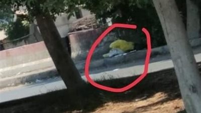 تفاصيل العثور على جثمان شاب مقتول في جوال أسفل شجرة بالإسماعيلية | بث مباشر