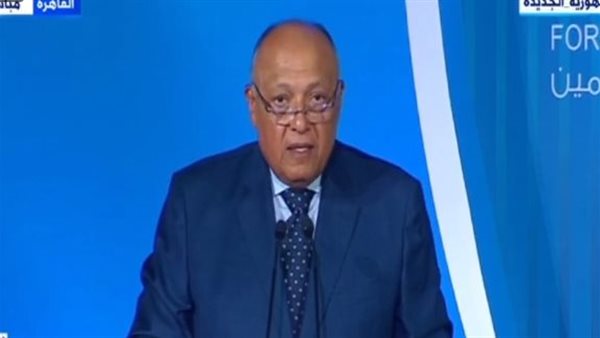 سامح شكري وزير الخارجية