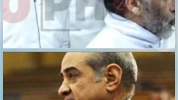 المحامي فريد الديب