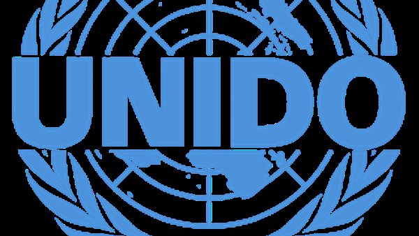 منظمة الأمم المتحدة