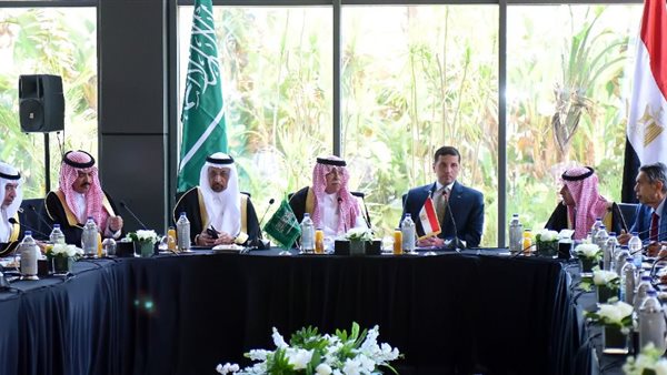 مجلس الأعمال المصري