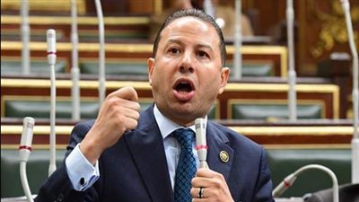 برلماني يواجه وزير البيئة داخل البرلمان.. ويطالب بحماية أرواح الأهالي من كارثة مصنع سينمار ببورسعيد | فيديو 